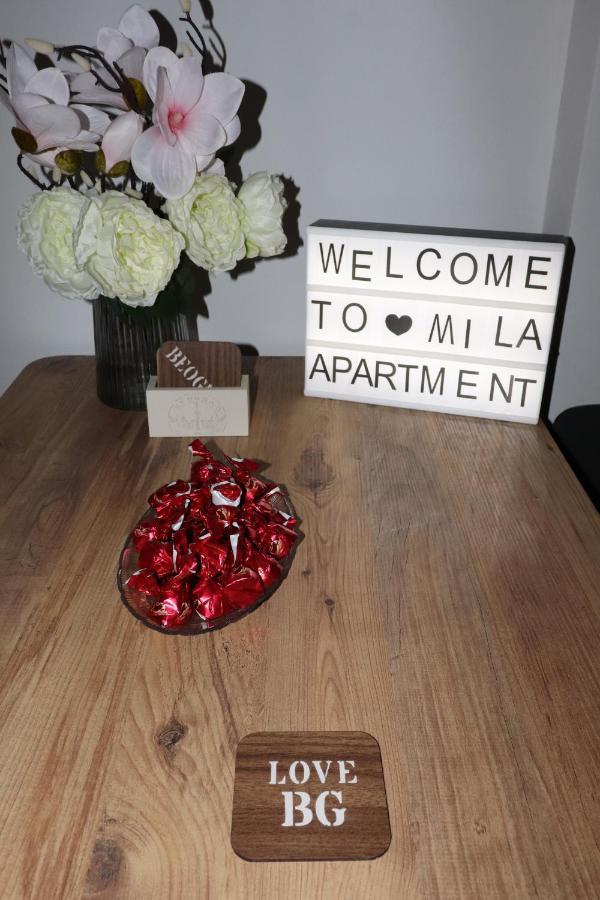 Apartman Mila 21 Belgrád Kültér fotó