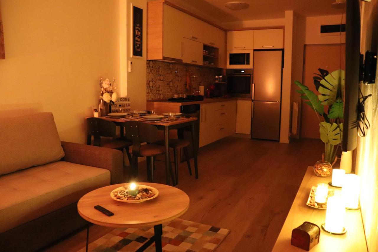 Apartman Mila 21 Belgrád Kültér fotó